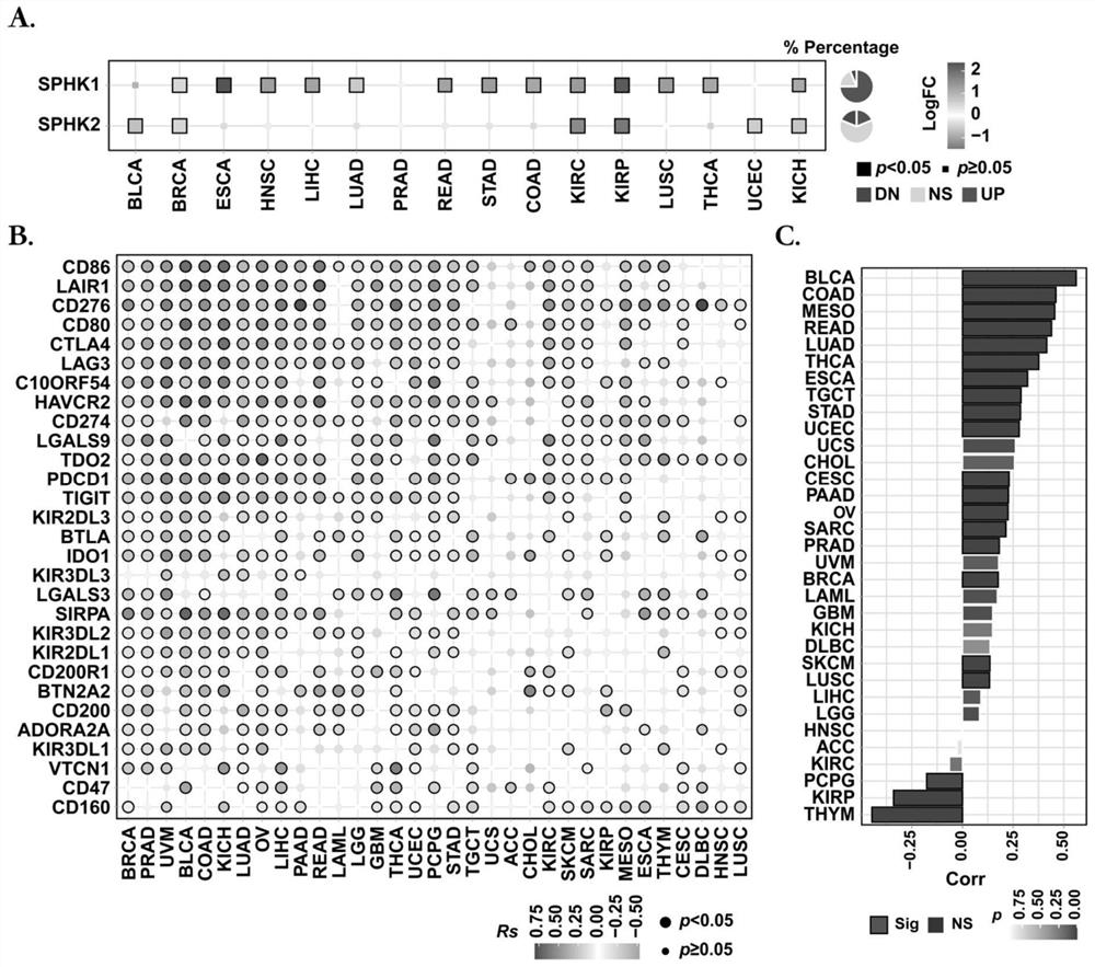 Application of PF543 in preparation of PD-L1/PD-1 monoclonal antibody tumor immunotherapy drug