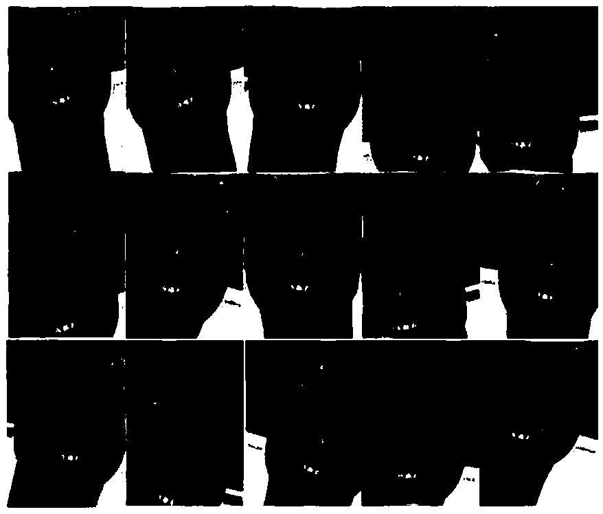 Multi-angle facial expression recognition method under natural state