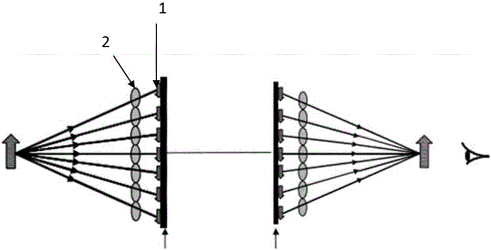 Integral imaging three dimensional display apparatus and method