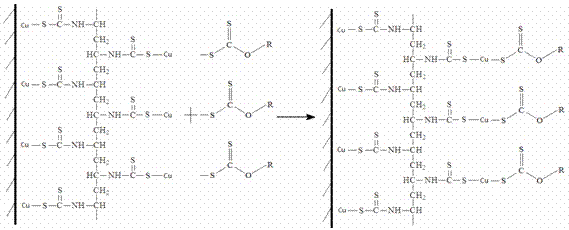 Macromolecule bridging flotation method for combined copper disseminated body