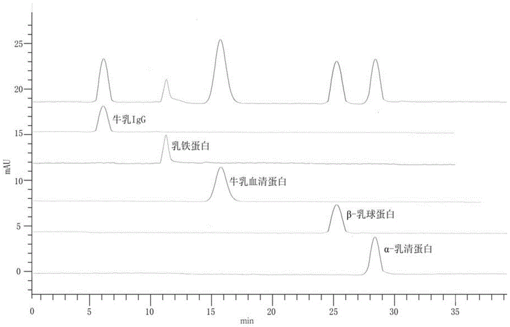 A rapid separation and detection method for whey protein components in dairy products