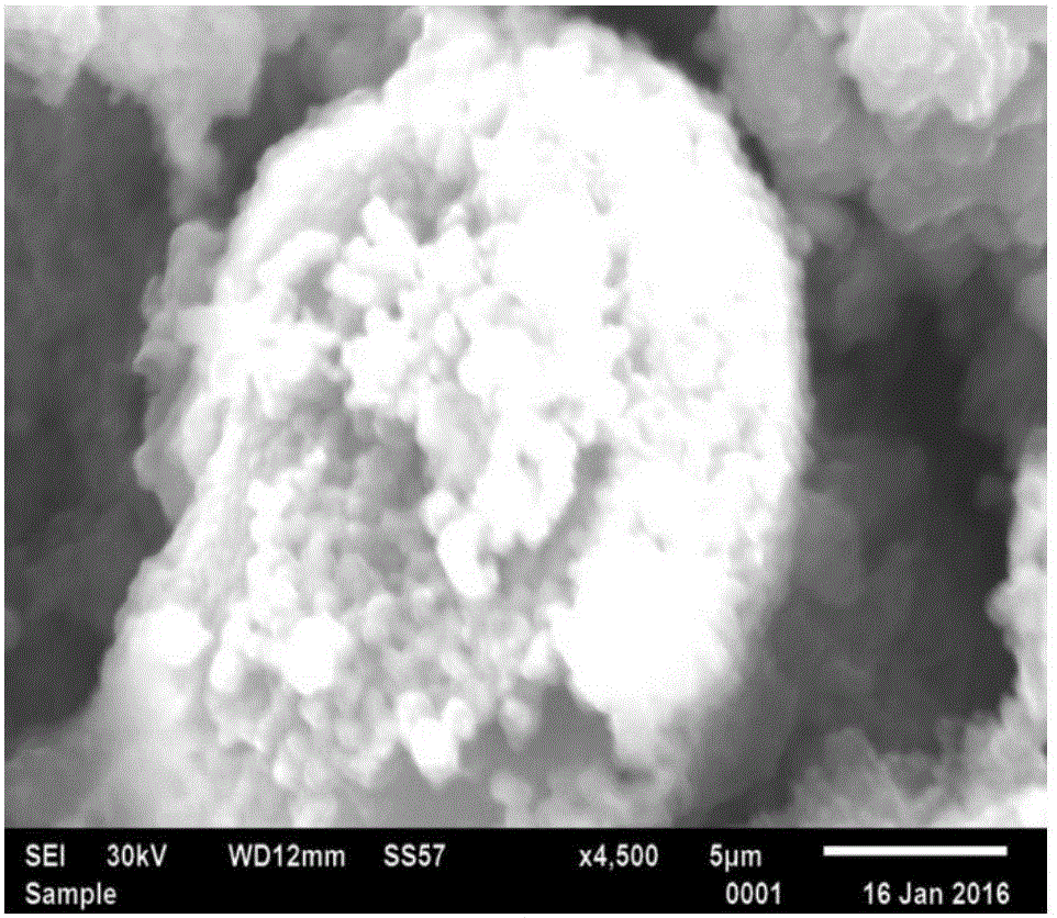 Method for preparing porous silicon/graphene composite lithium ion battery anode material by using diatomite as raw material