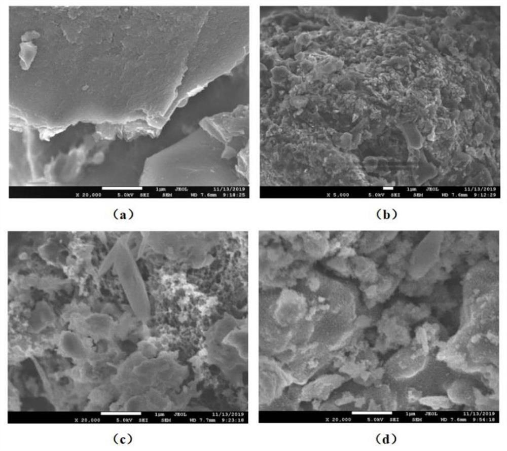 Preparation method of catalyst for catalyzing sulfachloropyridazine sodium in ozonized water