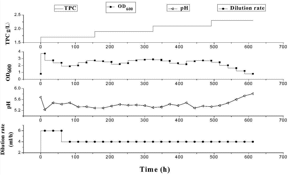 Novel strain for producing butanol and method for producing butanol