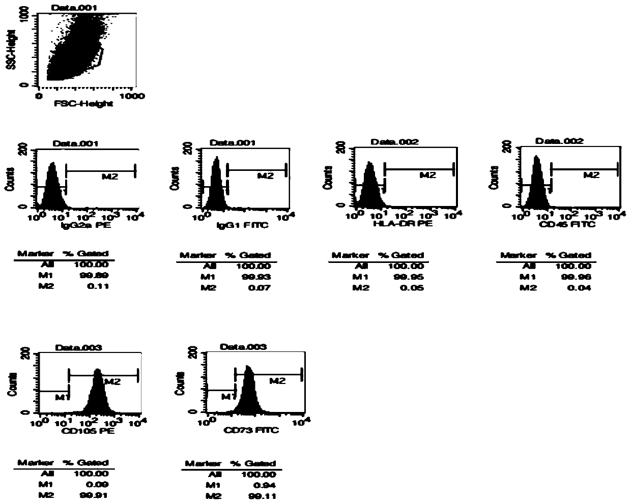 Human placenta mesenchymal stem cell, preparation method and application thereof