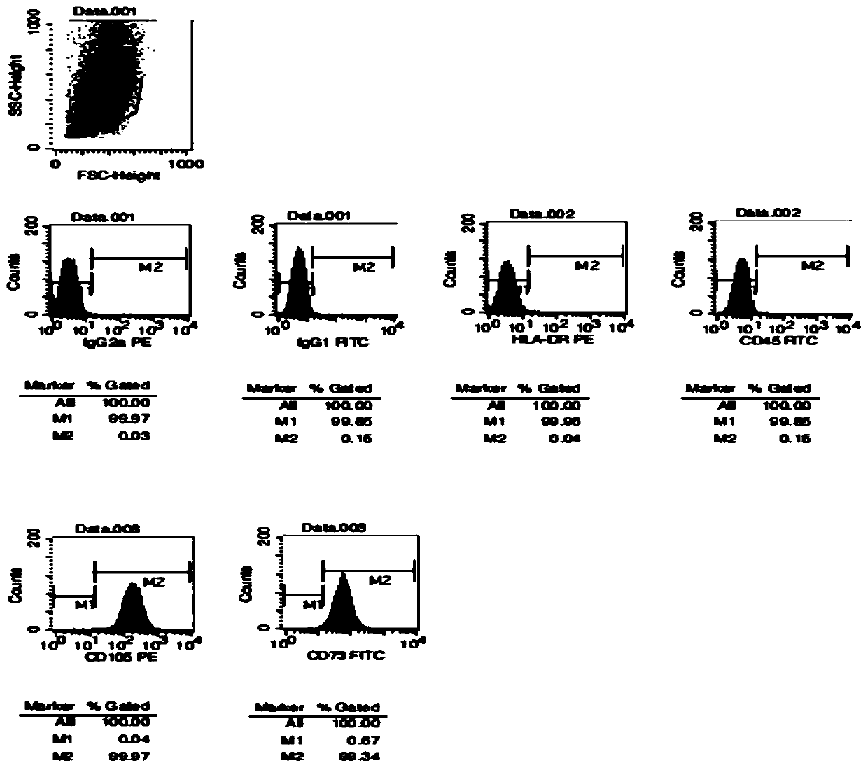 Human placenta mesenchymal stem cell, preparation method and application thereof