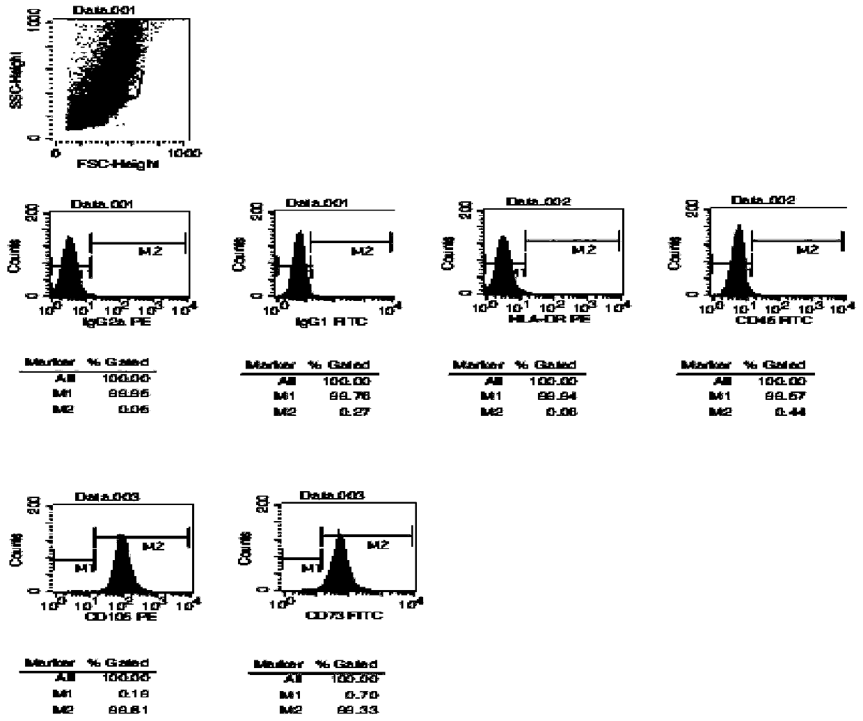 Human placenta mesenchymal stem cell, preparation method and application thereof