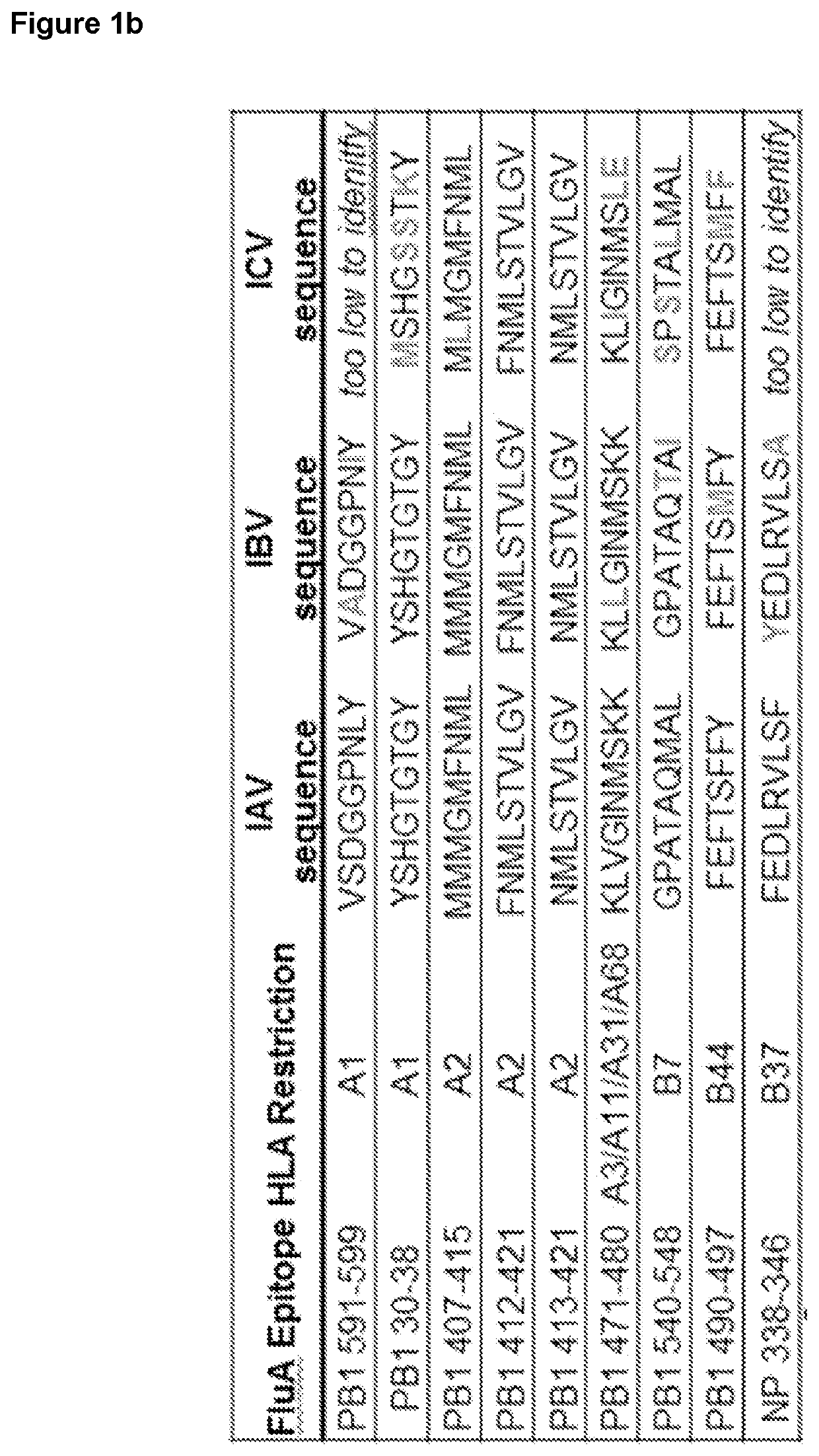 Methods and compositions for preventing influenza infection