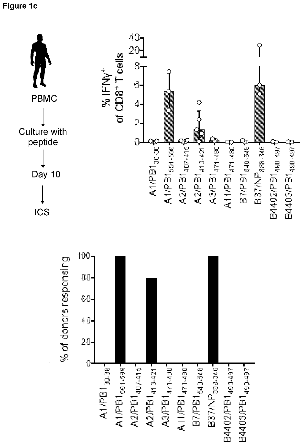 Methods and compositions for preventing influenza infection