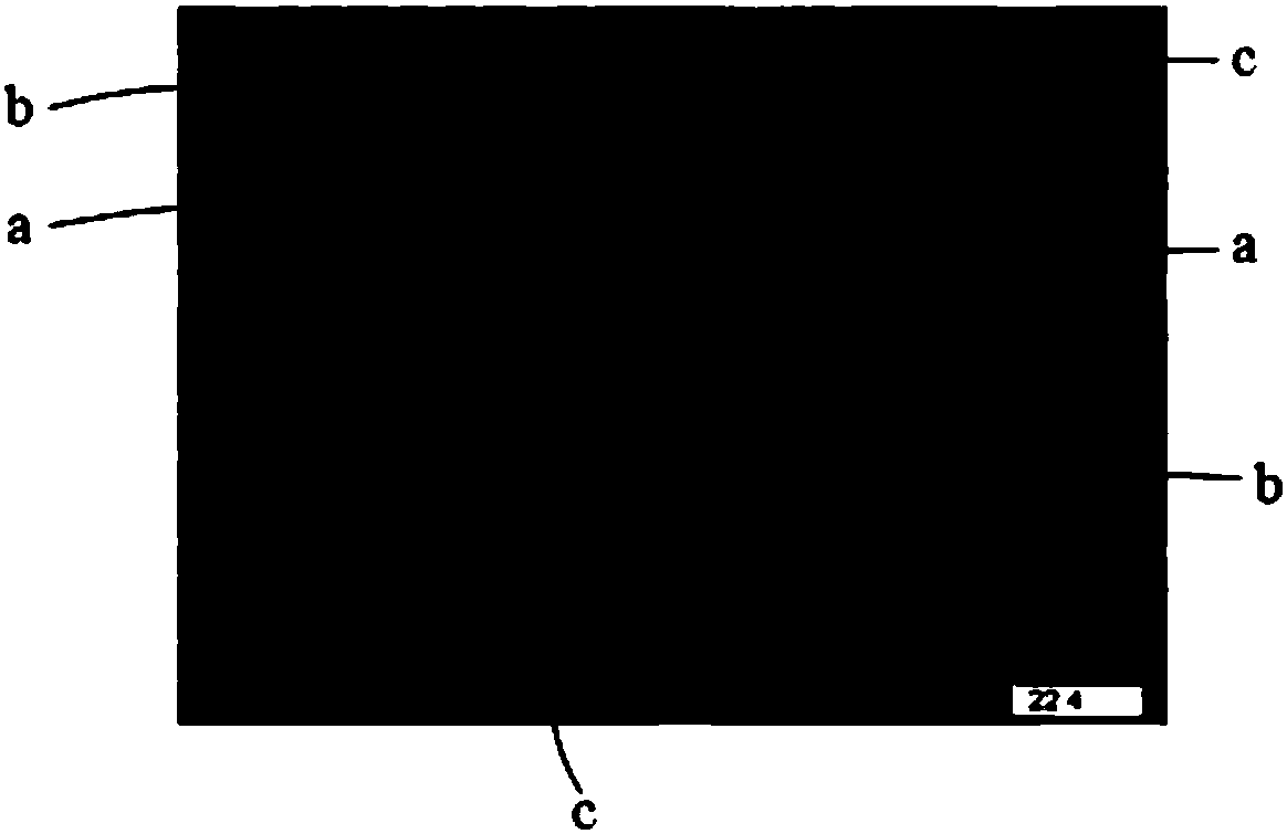 Method for building lipopolysaccharide induced piglet liver cell programmed necrosis model