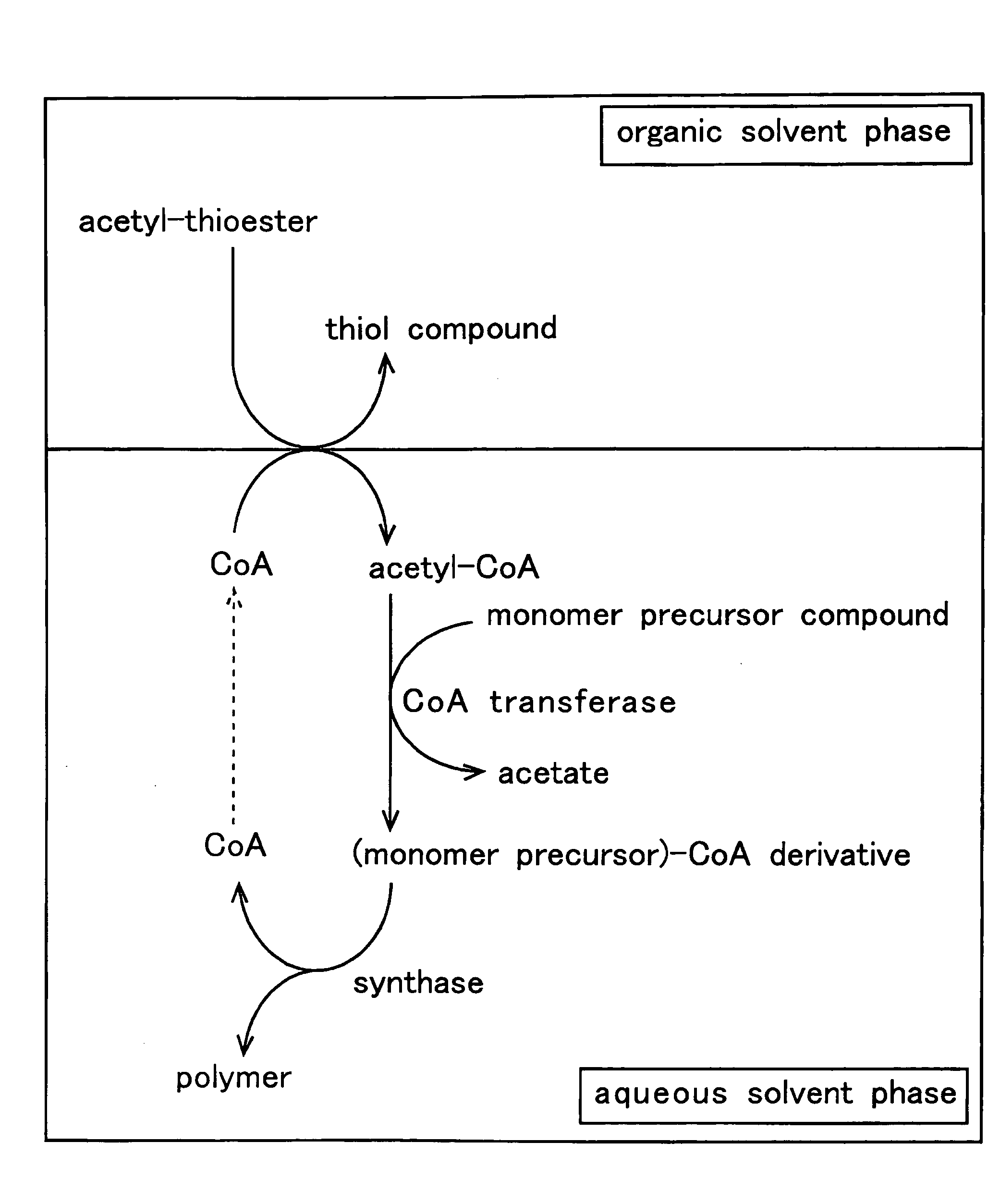 Method for producing polymer