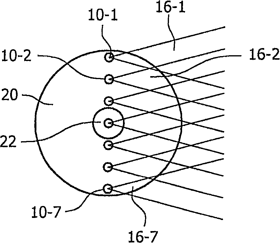 Hair shortening device