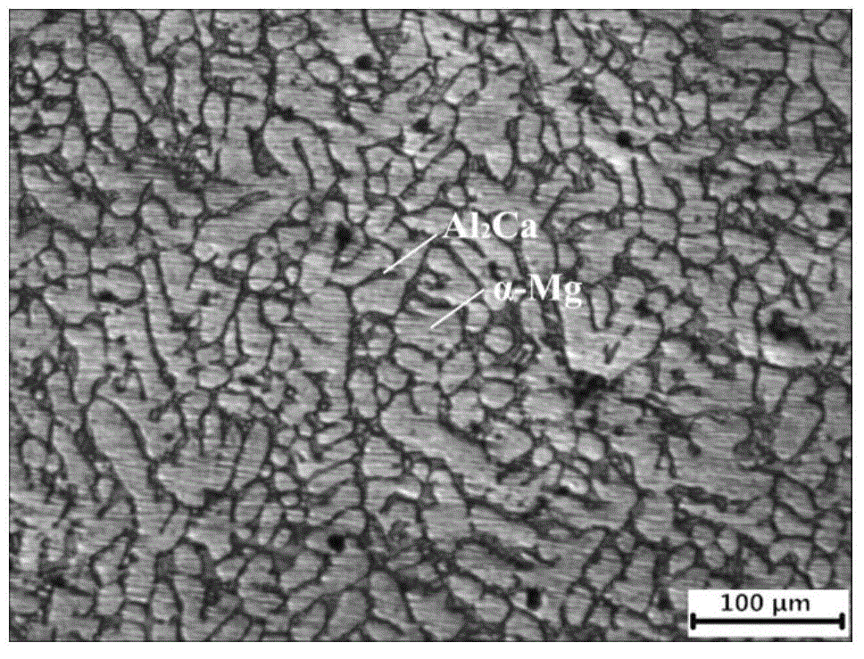 Mg-Ca-Al alloy and preparation method