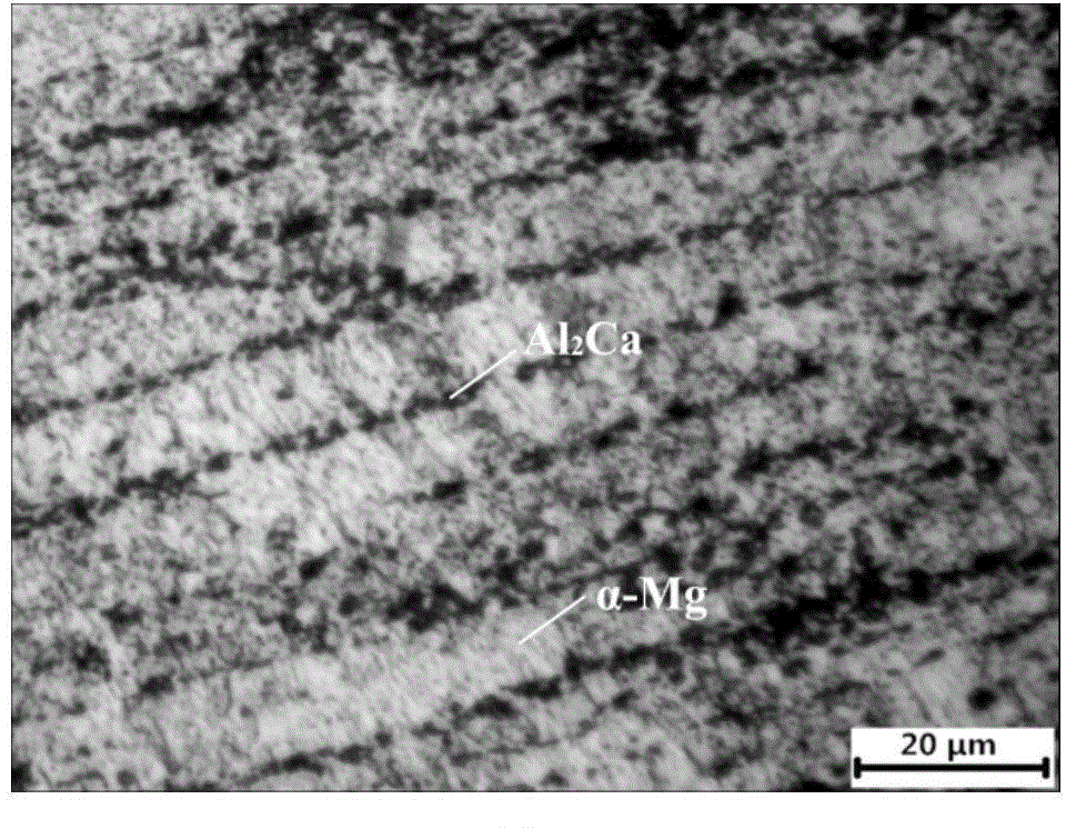 Mg-Ca-Al alloy and preparation method