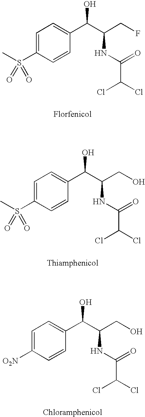 Water-Soluble Phenicol Prodrugs in a Lipophilic Vehicle System