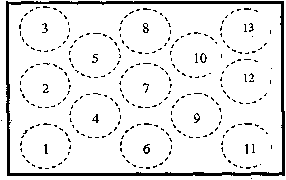 Process for testing capacitance type touch screen