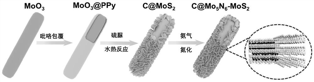 Carbon/molybdenum disulfide-nitrogen-rich molybdenum nitride composite material, preparation and electro-catalytic hydrogen evolution application thereof