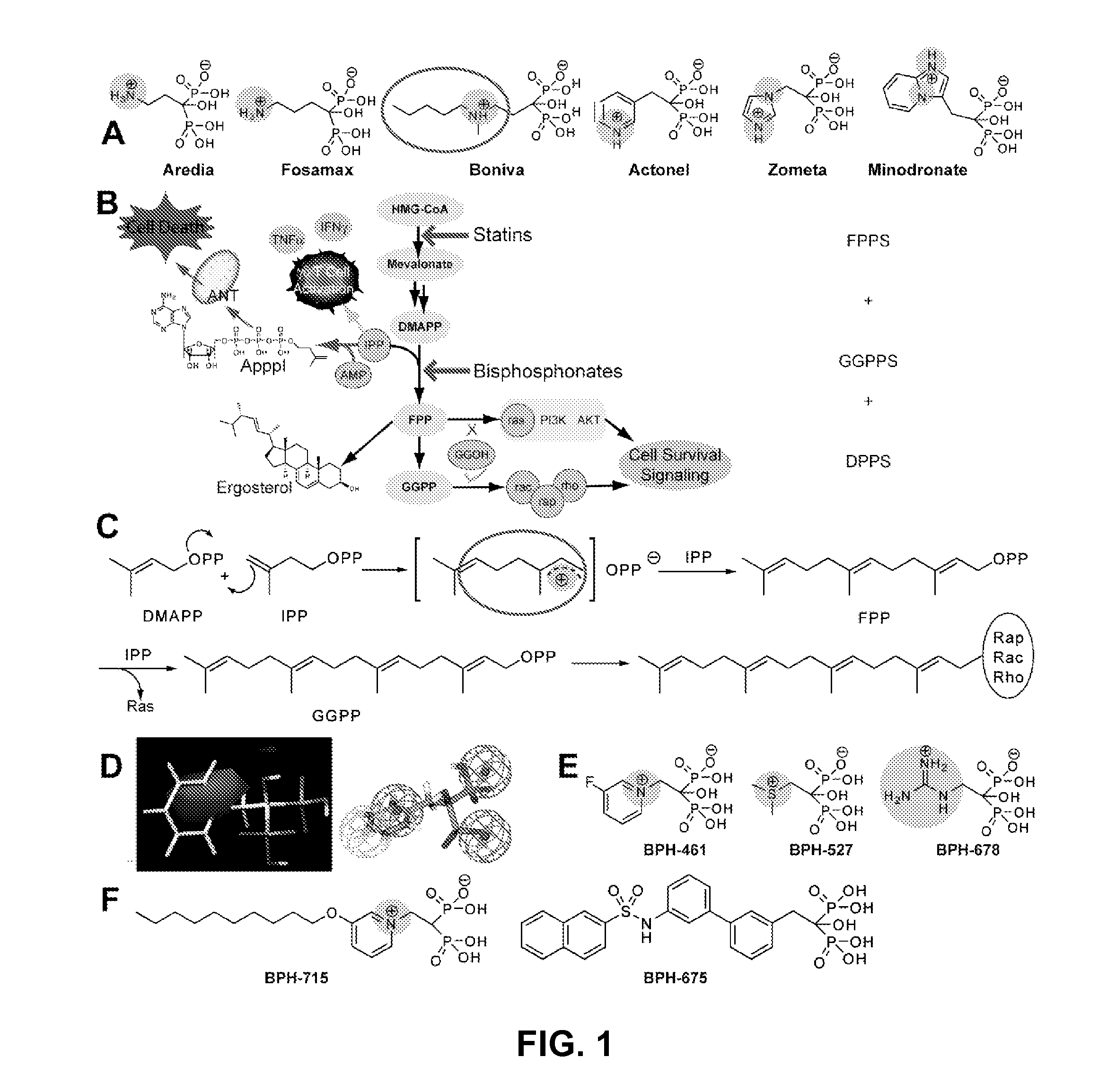 Bisphosphonate compounds and methods with enhanced potency for multiple targets including FPPS, GGPPS, and DPPS