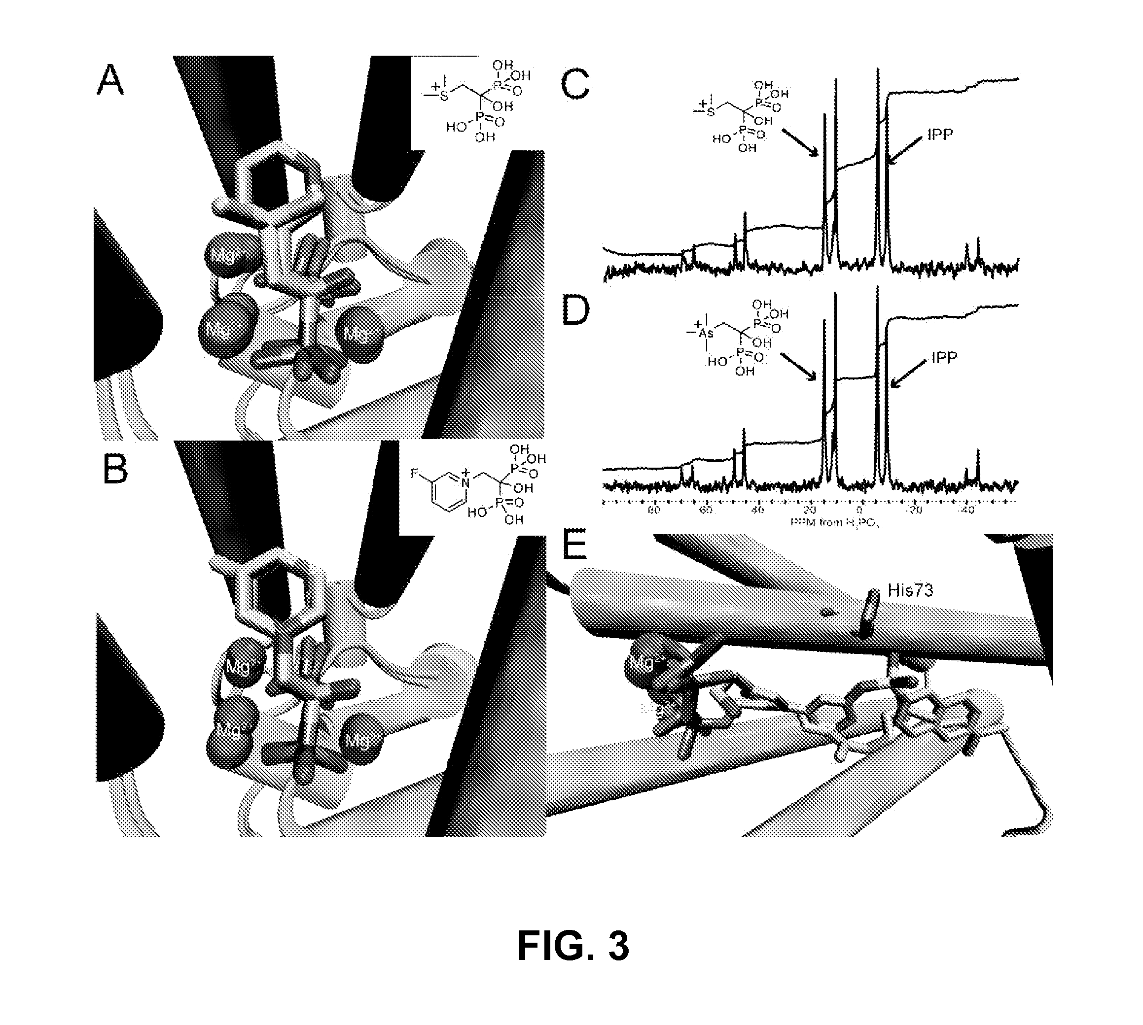 Bisphosphonate compounds and methods with enhanced potency for multiple targets including FPPS, GGPPS, and DPPS