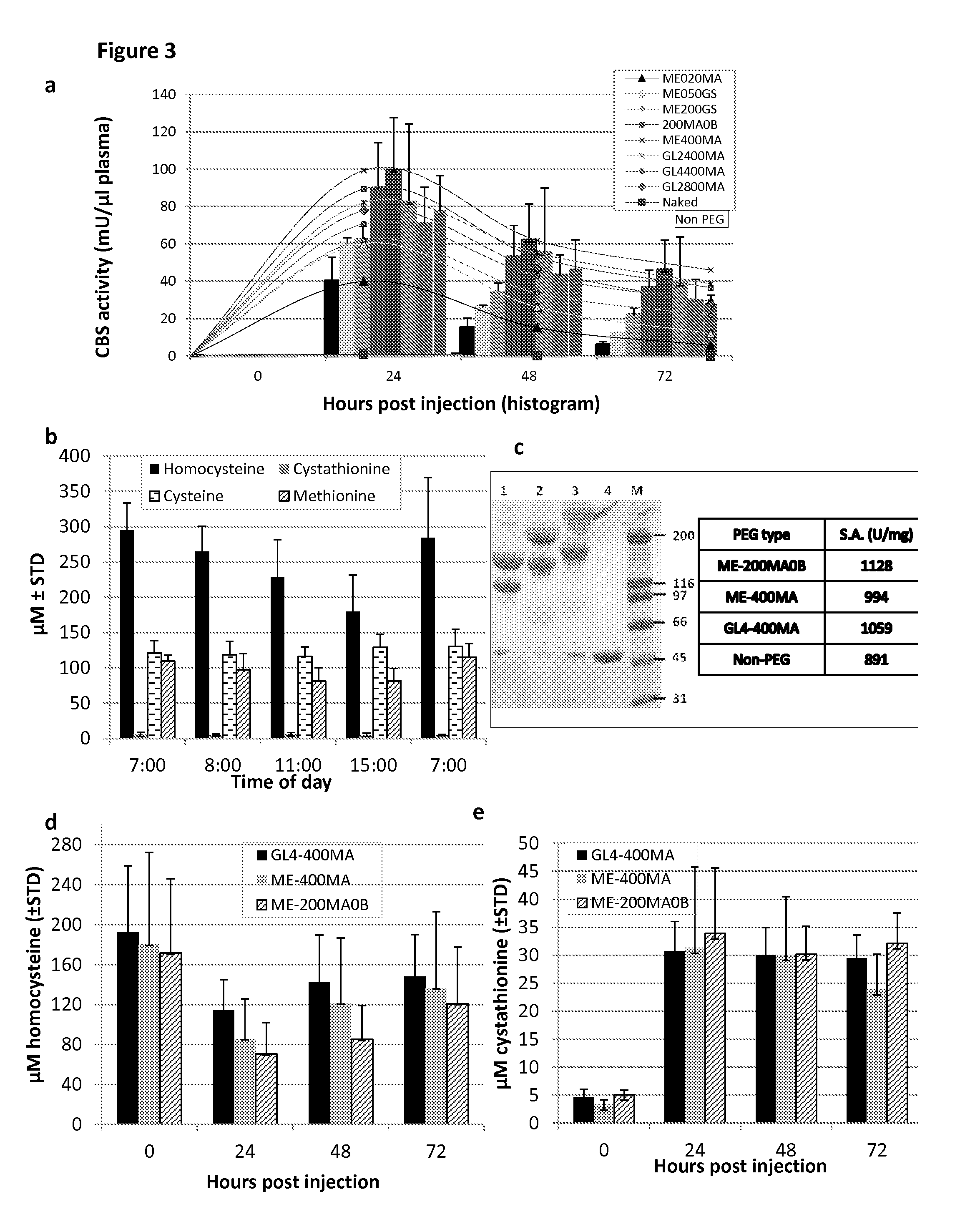 Chemically modified cystathionine beta-synthase enzyme for treatment of homocystinuria