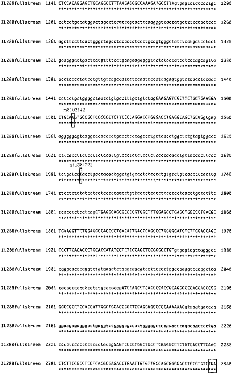 Marker for predicting therapeutic effect on hepatitis c, method for predicting therapeutic effect on hepatitis c, and prophylaxis or therapeutic agent for hepatitis c