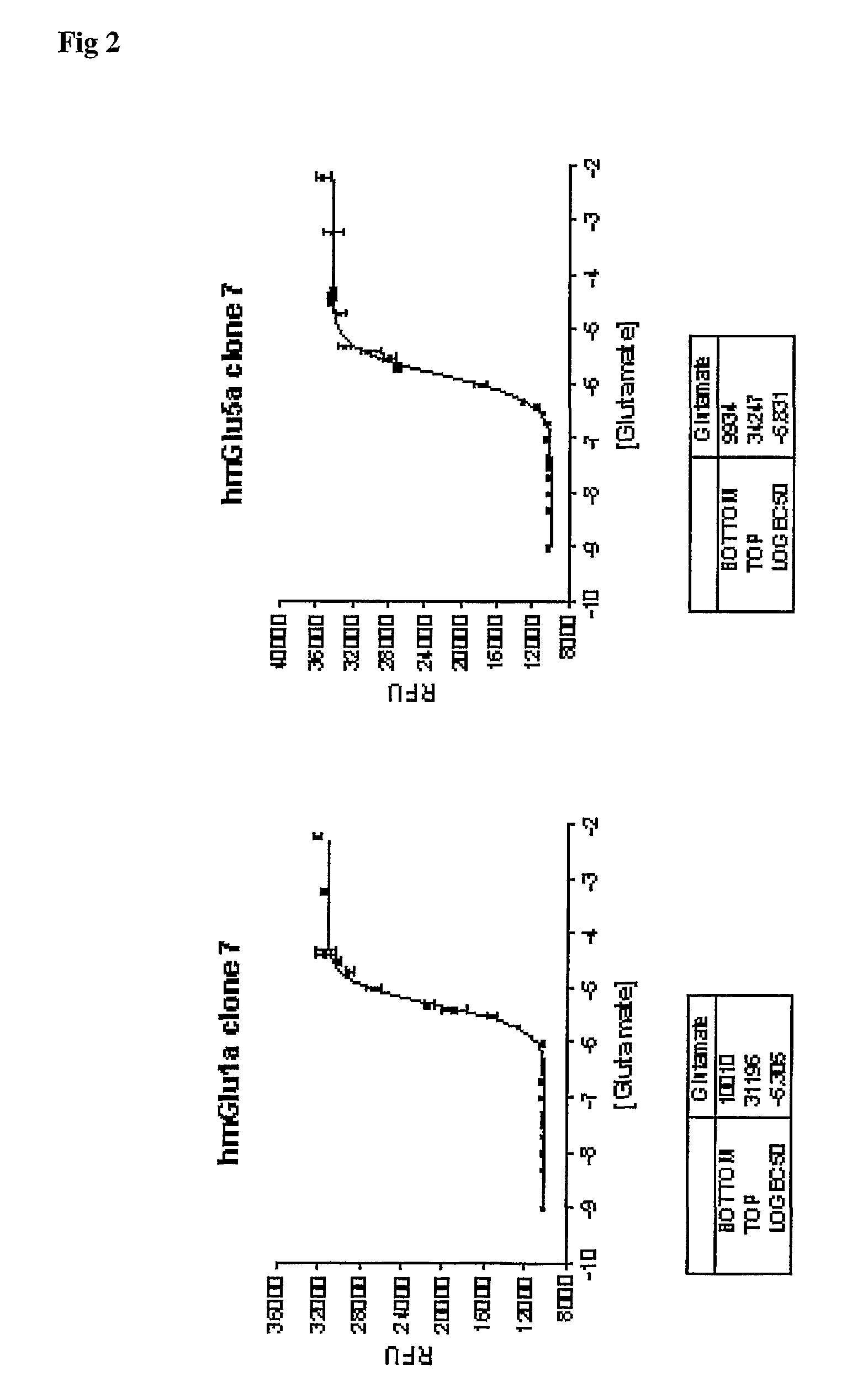 Functional Screening Assay