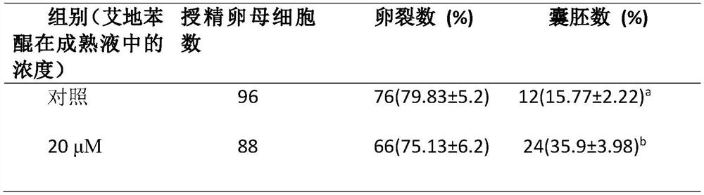 Application of an antioxidant in in vitro maturation of animal oocytes