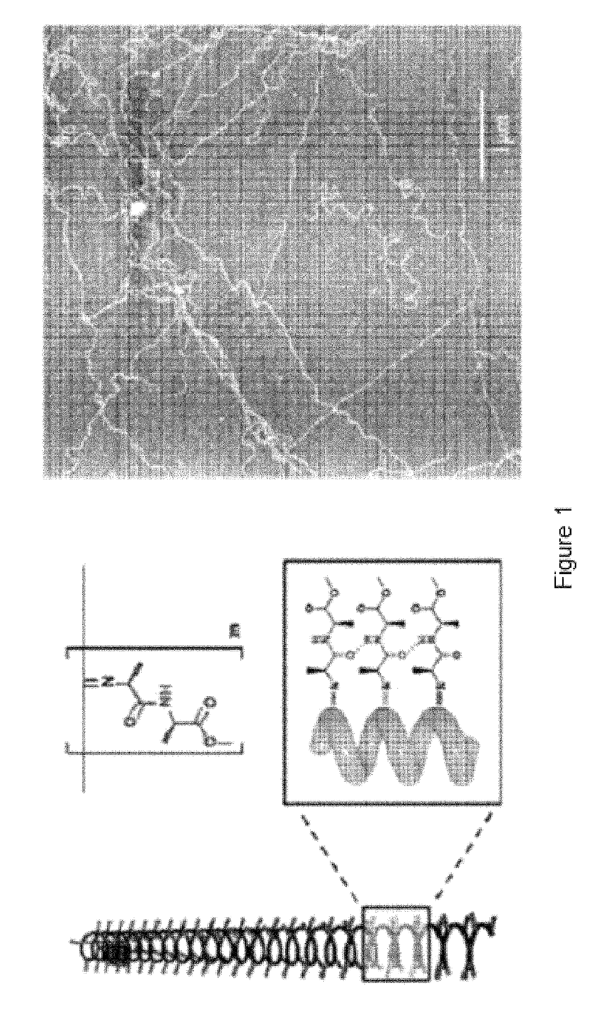 Polymer suitable for use in cell culture