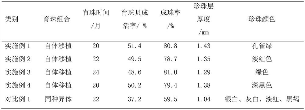 Method for cultivating black pearls by autotransplantation of pinctada martensii