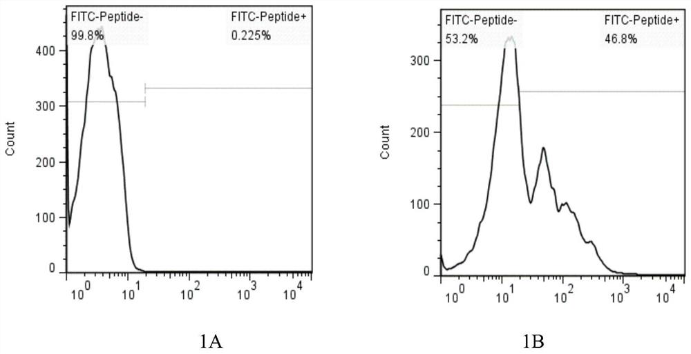 A kind of construction method of lrfft1 cell