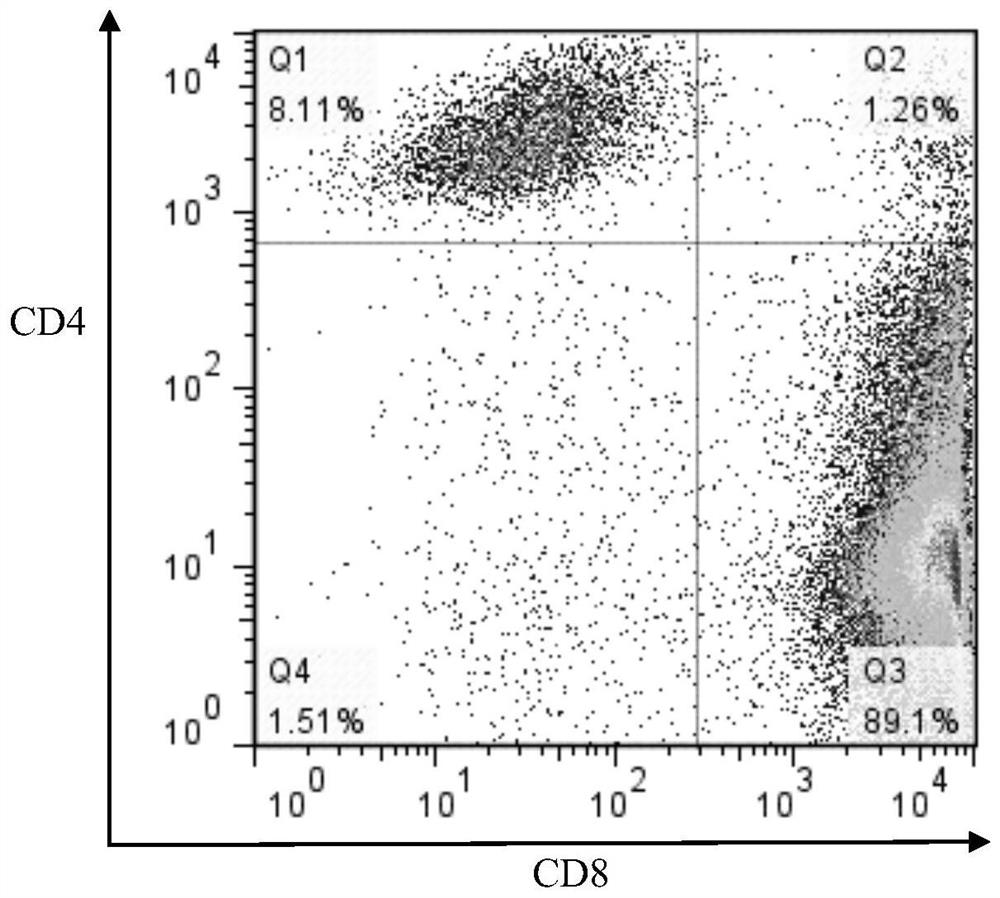 A kind of construction method of lrfft1 cell