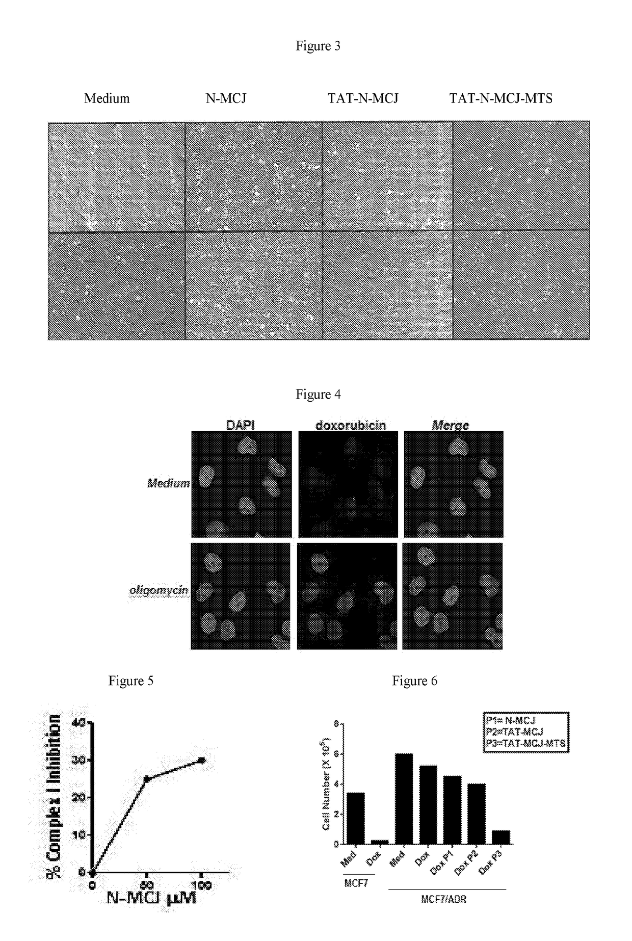 Mcj agonists and uses therefor