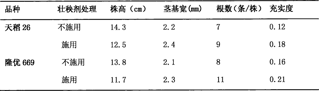 Rice seedling culture fertilizer