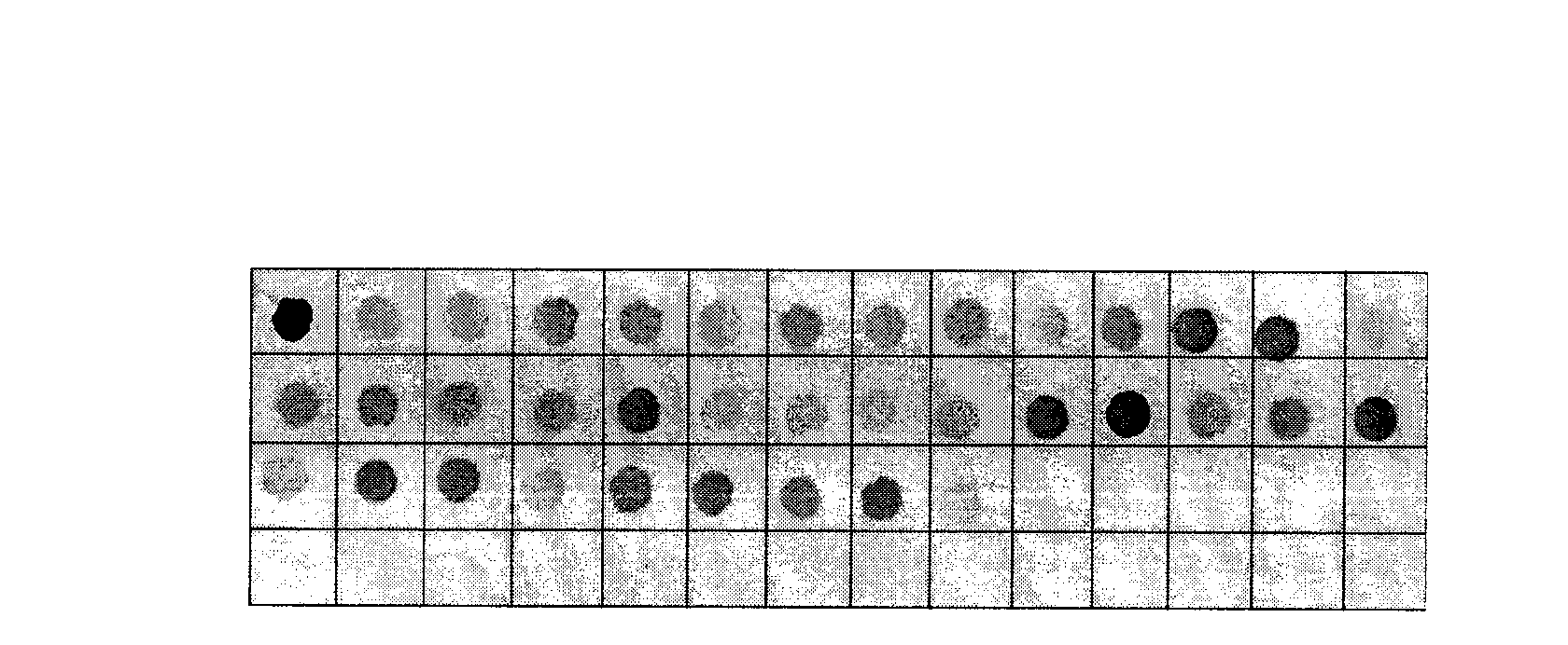 Drug-resistance gene film chip for detecting mycobacterium tuberculosis