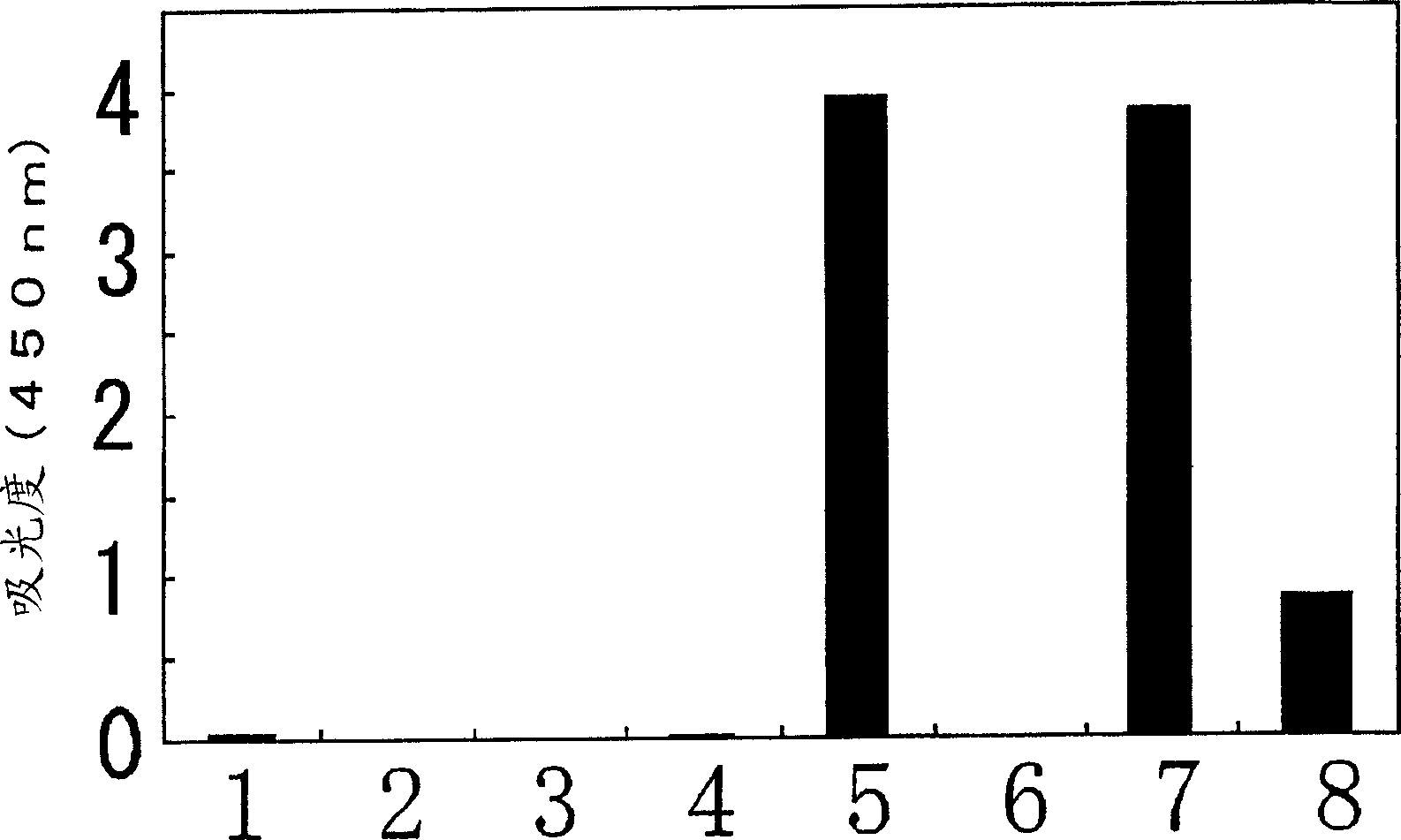 Method of typing gene polymorphisms