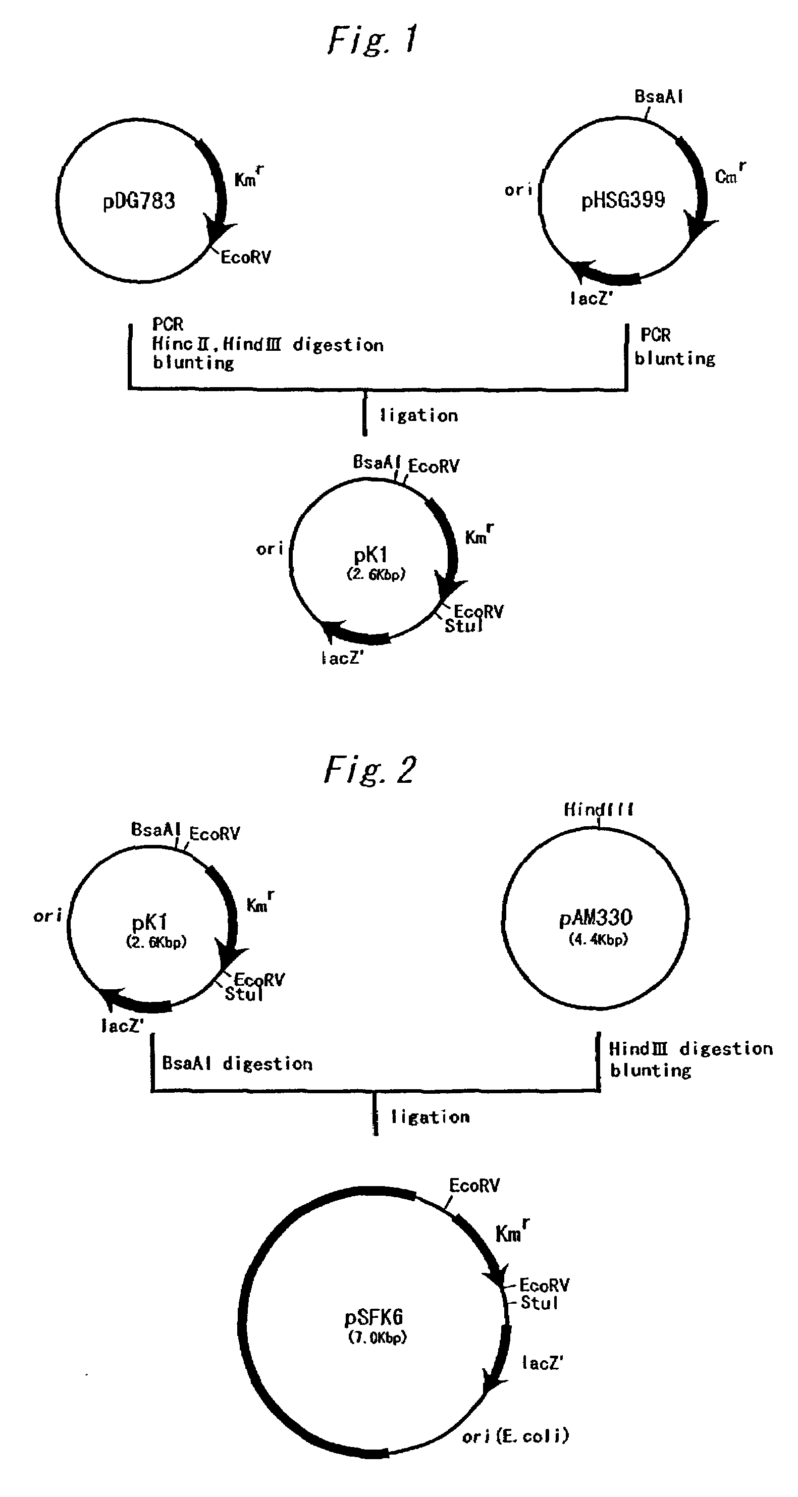 Method for producing L-arginine