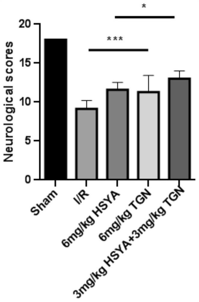 Application of composition of hydroxysafflor yellow A and tenuigenin in preparation of medicine for treating cerebral arterial thrombosis