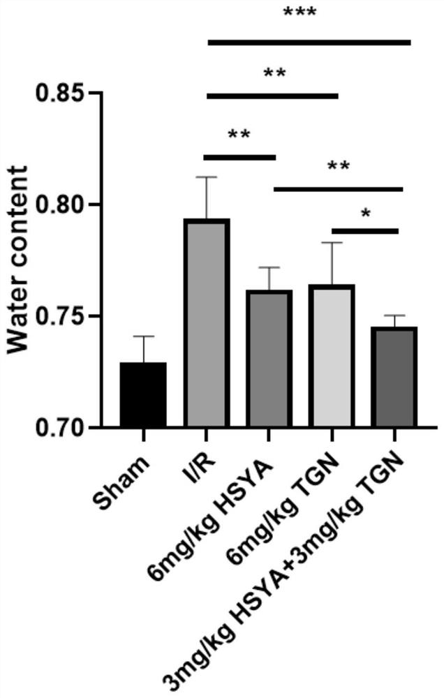 Application of composition of hydroxysafflor yellow A and tenuigenin in preparation of medicine for treating cerebral arterial thrombosis