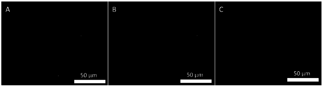 Method of improving directional imaging ability of carbon dots to cell nucleolus