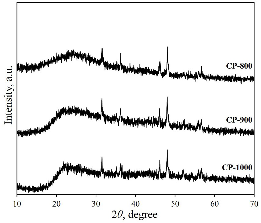 Method for preparing cobalt phosphide/biochar composite material by taking yeast nucleic acid as phosphorus source and carbon source