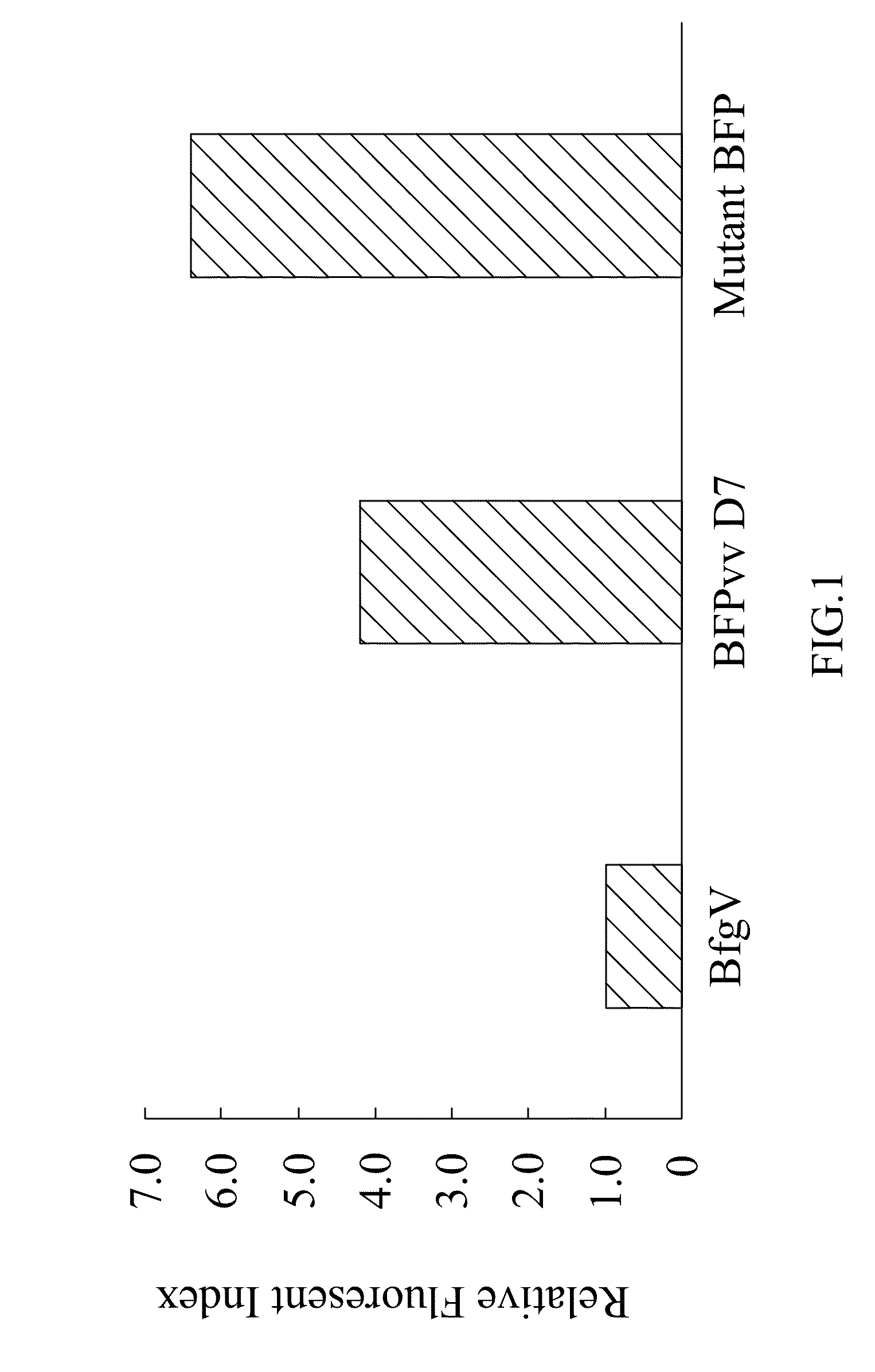 Mutant blue fluorescent protein and method of using the same for fluorescence resonance energy transfer and blue fluorescent fish