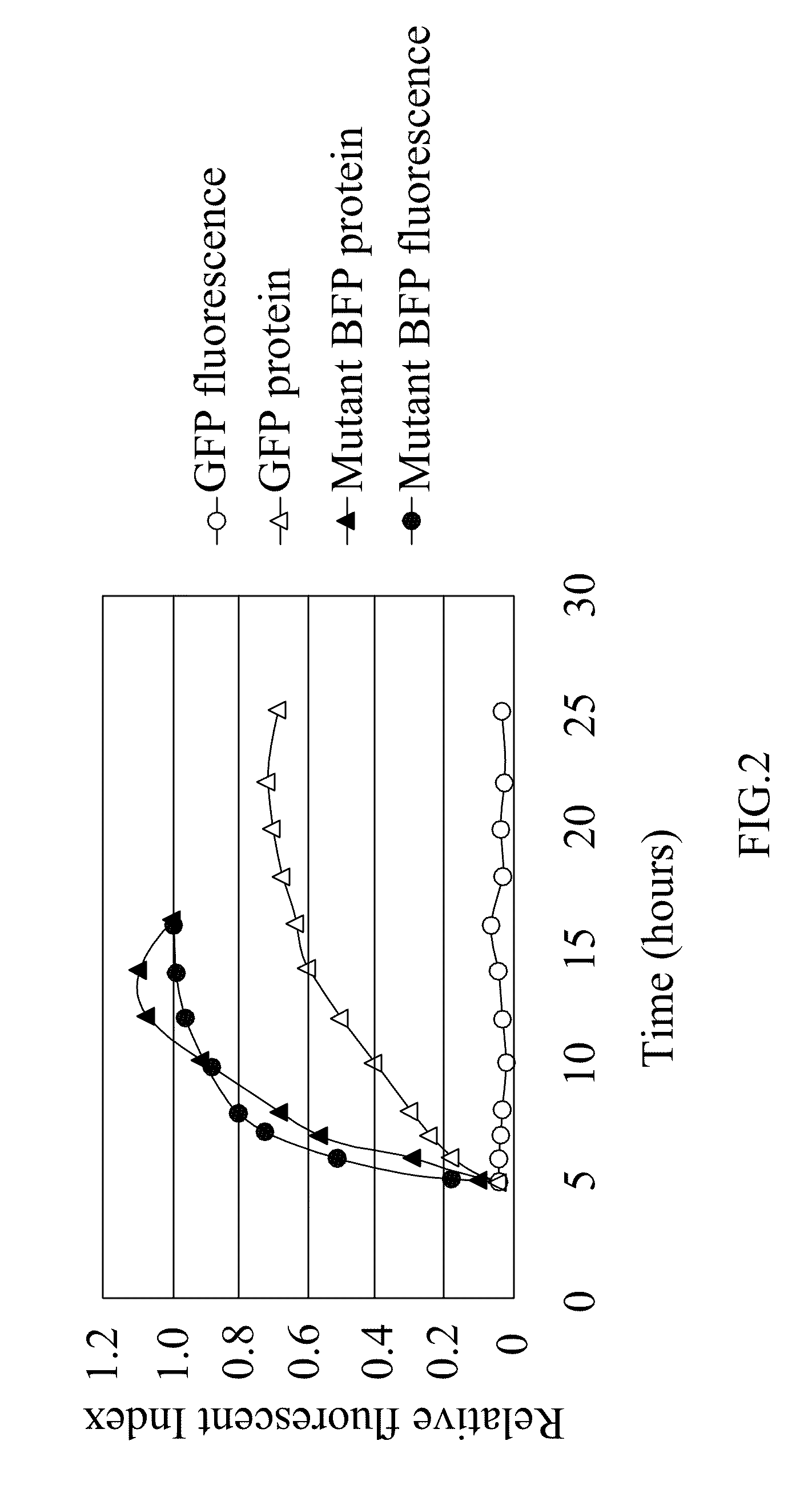 Mutant blue fluorescent protein and method of using the same for fluorescence resonance energy transfer and blue fluorescent fish