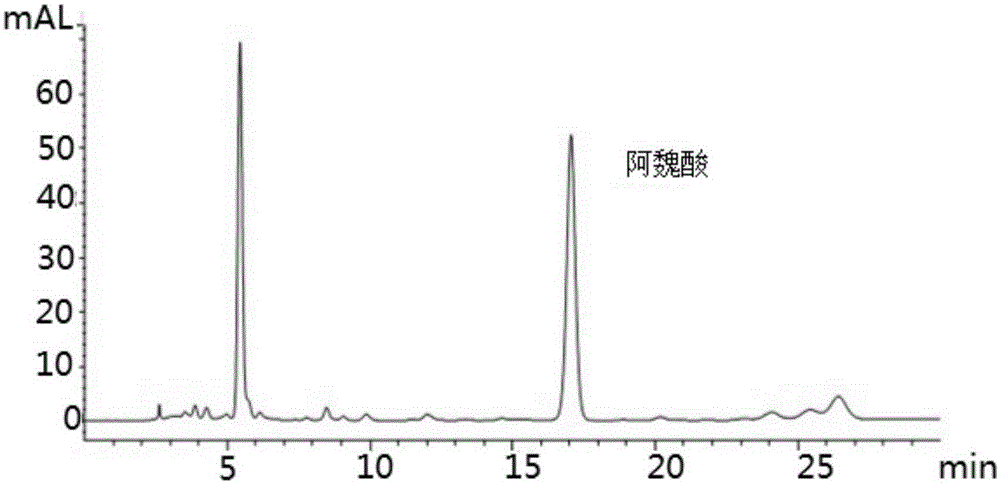 Cultivation method for ligusticum wallichii