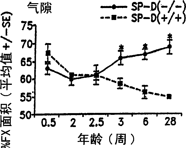 Surfactant protein for the prevention and diagnosis of pulmonary emphysema