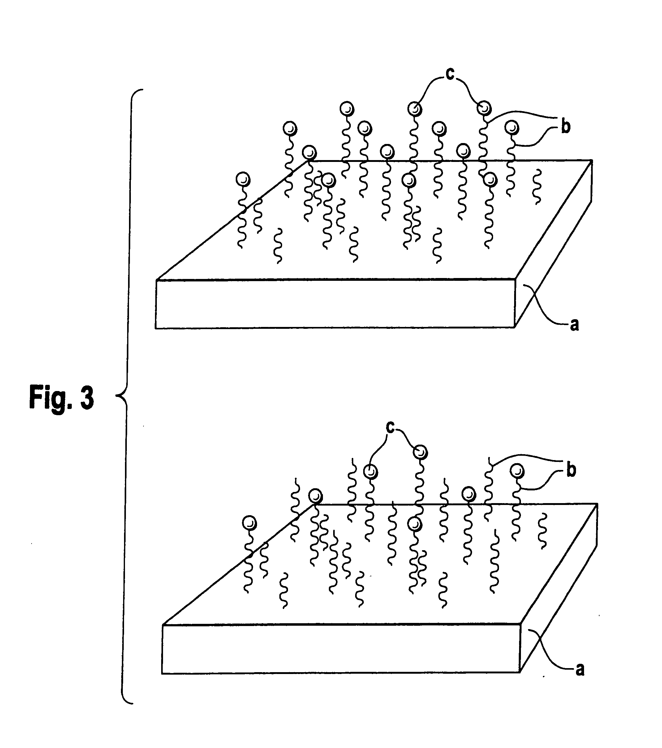 Biodegradable block copolymers with modifiable surface