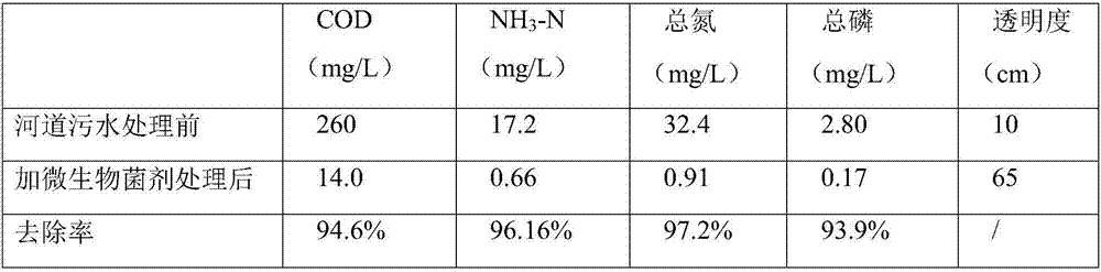 Compound microbial agent for riverway treatment and preparation method and application thereof