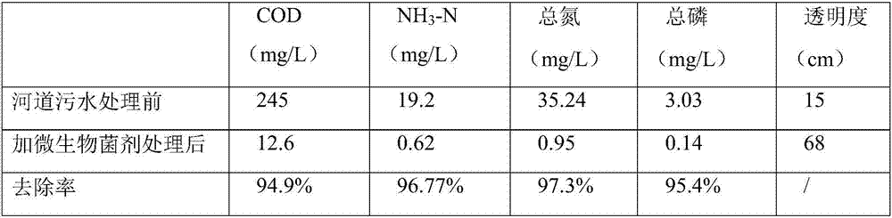 Compound microbial agent for riverway treatment and preparation method and application thereof