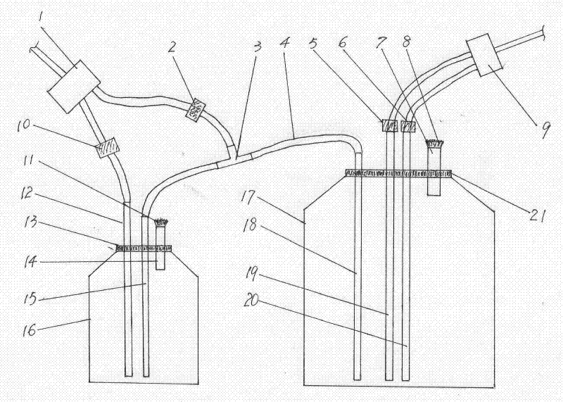 Liquid edible fungus strain culture device and culture method