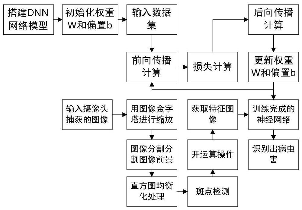 Detection method of apple tree diseases and insect pests based on dnn network and spot detection algorithm