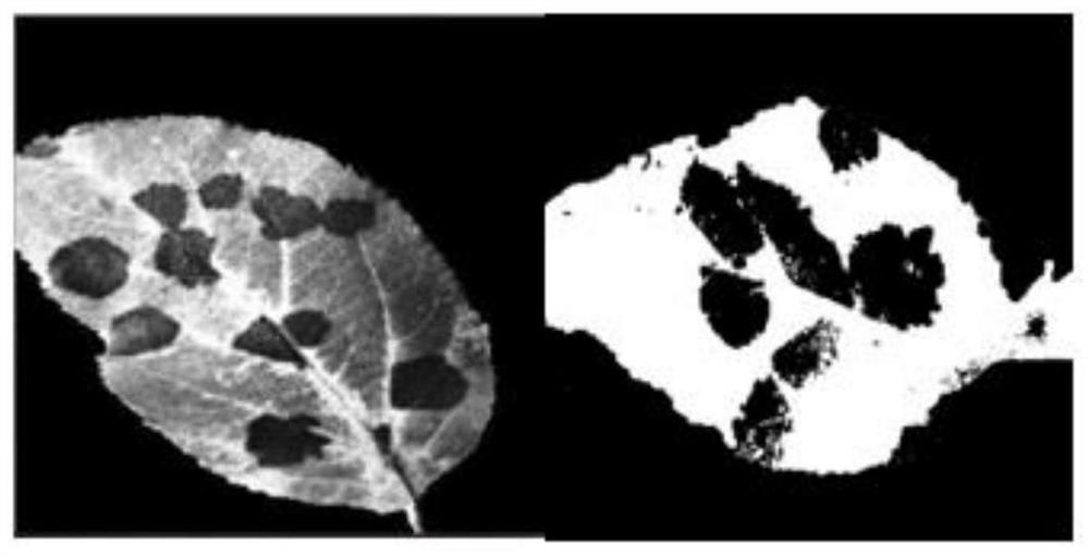 Detection method of apple tree diseases and insect pests based on dnn network and spot detection algorithm